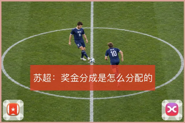 苏超：奖金分成是怎么分配的