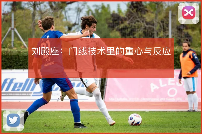 刘殿座:门线技术里的重心与反应