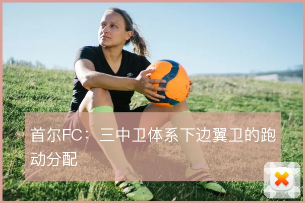 首尔FC：三中卫体系下边翼卫的跑动分配