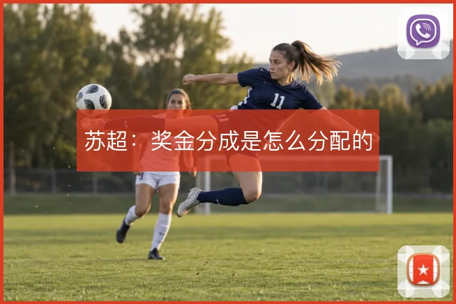 苏超：奖金分成是怎么分配的