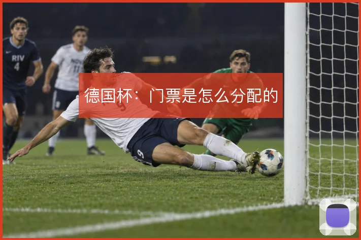 德国杯：门票是怎么分配的